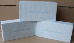 Kapesníčky Harma box 100 ks - Kapesníky papírové, 20x21cm, 100 ks v boxu, 2vrstvé, bílé.